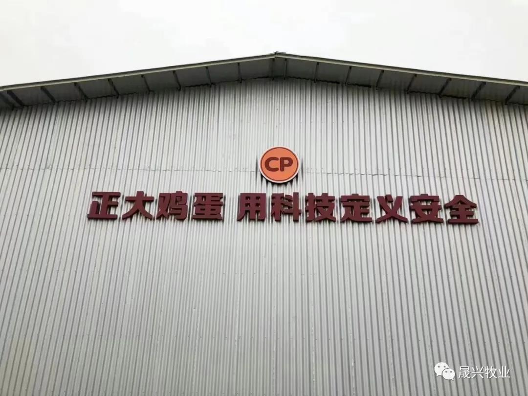 佰利乐·(中国区)有限公司官网