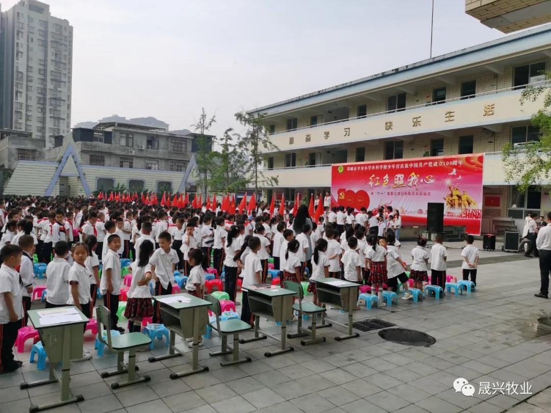佰利乐·(中国区)有限公司官网