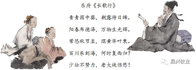 佰利乐·(中国区)有限公司官网