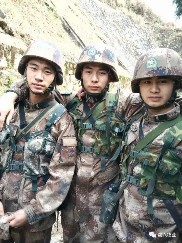 佰利乐·(中国区)有限公司官网