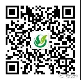 佰利乐·(中国区)有限公司官网