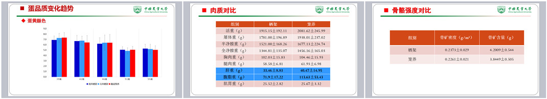 佰利乐·(中国区)有限公司官网