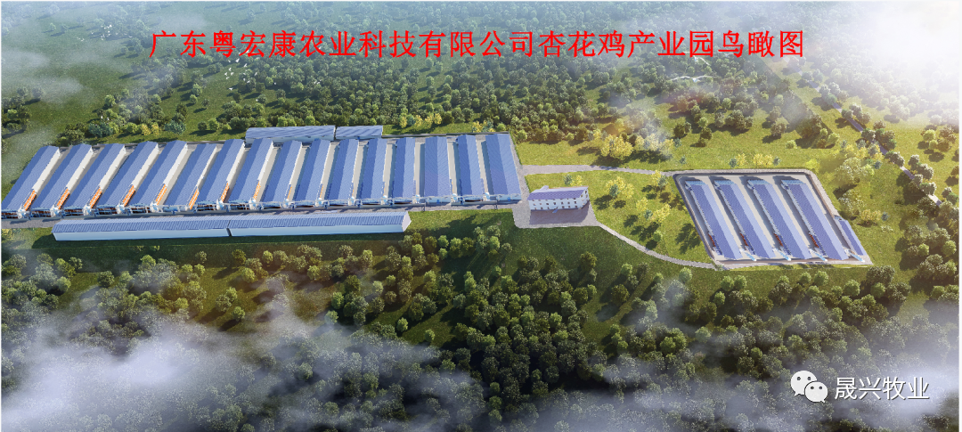 佰利乐集团