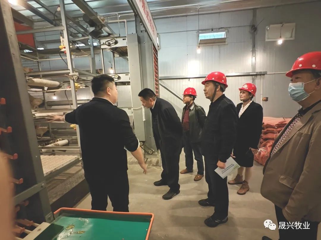 佰利乐·(中国区)有限公司官网