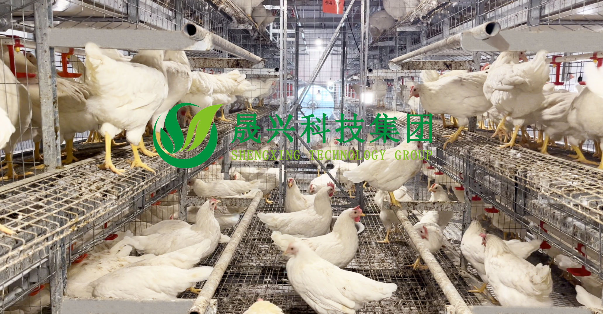 佰利乐·(中国区)有限公司官网