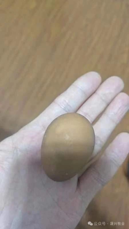 佰利乐·(中国区)有限公司官网