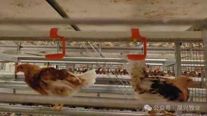 佰利乐·(中国区)有限公司官网