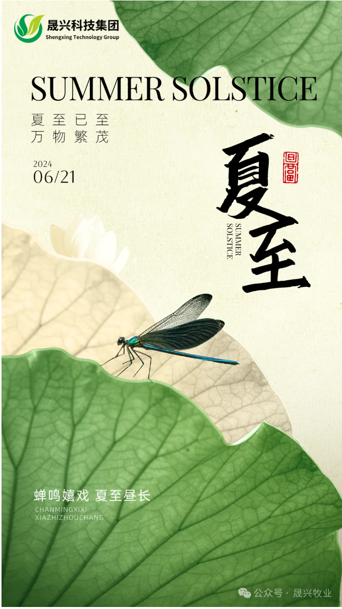 佰利乐·(中国区)有限公司官网