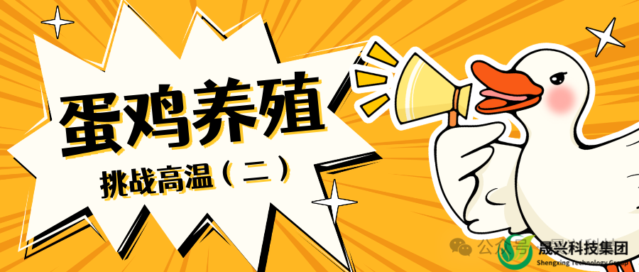 佰利乐·(中国区)有限公司官网